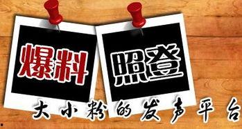 什么是新爆料新闻,揭开事件背后真相  第1张