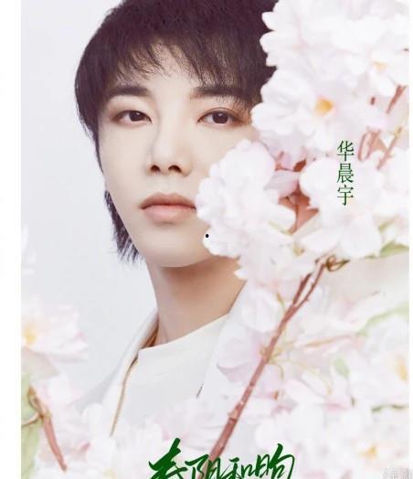 华晨宇和周杰伦最新爆料,揭秘音乐背后的故事与心路历程  第2张